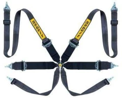 Racing seat belts Sabelt Saloon Gold 6-points (CCG653SNU) FIA