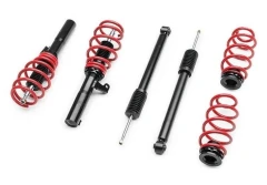 RACELAND AUDI TT 8S MK3 CLASSIC COILOVERS