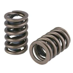 Valve spring HONDA B16A / B17A / B18C 1.6 / 1.7 / 1.8 DOHC VTEC / GSR / Acura Integra / Del Sol / Civic Si / 92-00