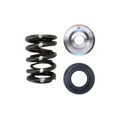 Brian Crower Dual Spring/Titanium Retainer/Seat Kit (Subaru Ej Series) BC0610