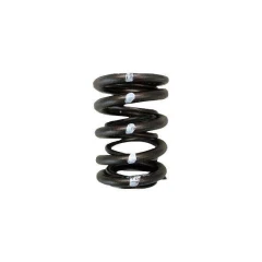 Brian Crower Valve Springs - Dual (Honda H22, Nissan SR20Ve) BC1030