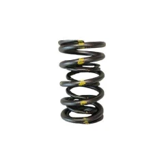 Brian Crower Valve Springs - Dual (Honda/Acura B18A/B18B/B20B, Subara Ej Series) BC1020