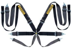 Racing seat belts Sabelt Saloon Gold 8-points (CCG833SND) FIA