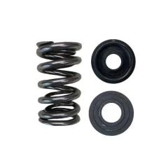 Brian Crower Dual Spring/Steel Retainer/Seat Kit (Honda K20A/K20Z, F20C/F22C - High Lift Spring) BC0040TS