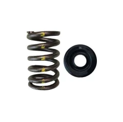 Brian Crower Single Spring/Steel Retainer Kit (Toyota 2JZgte/Lexus 2JZGE) BC0300S