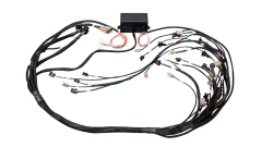 Elite 2000/2500 GM GEN IV LSx (LS2/LS3 itp.) Without Drive-By-Wire (DBW)