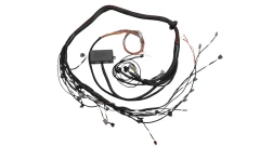 Elite 2000/2500 Toyota 2JZ engine wiring kit terminated with connectors